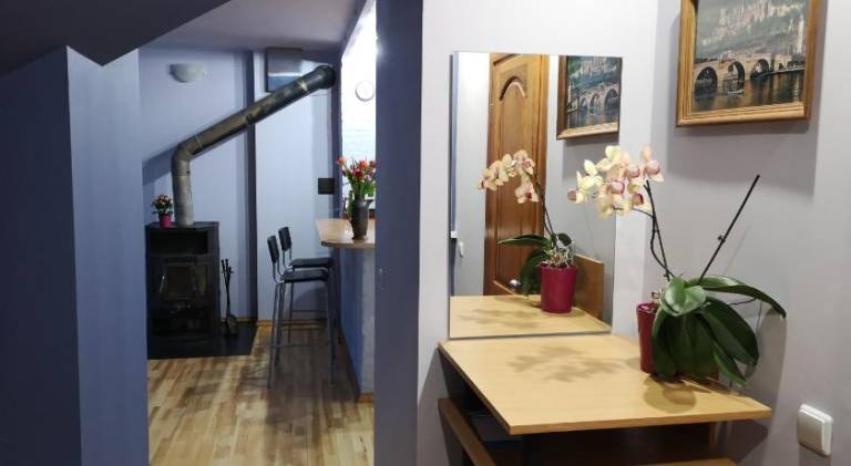 Apartment  Kaunas