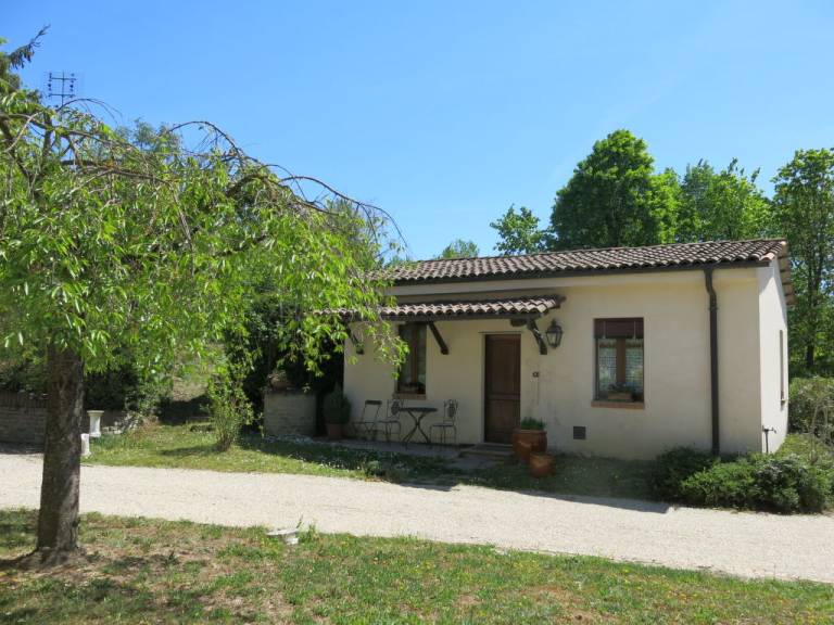 foto22