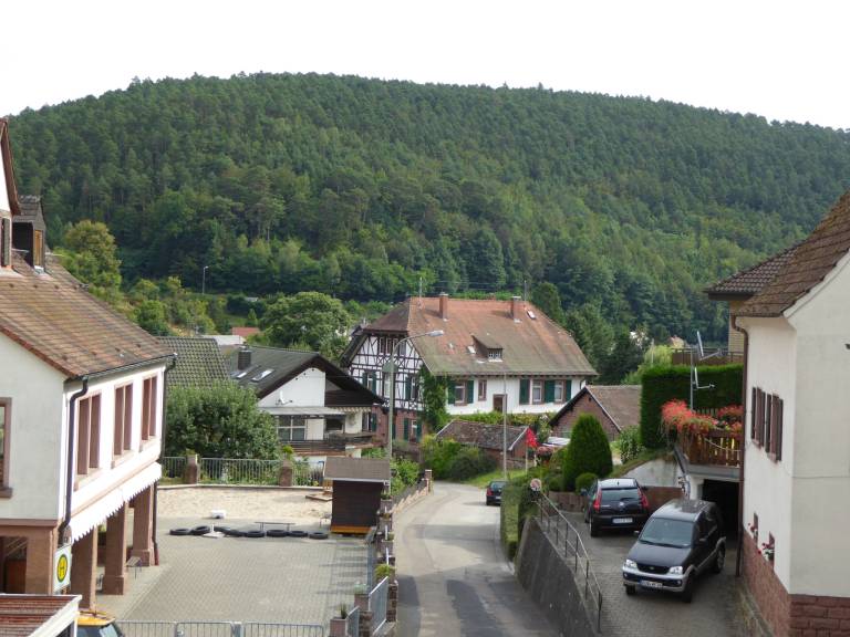 foto1