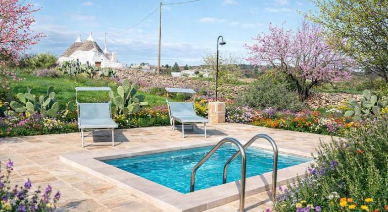 House with pool — photo 5