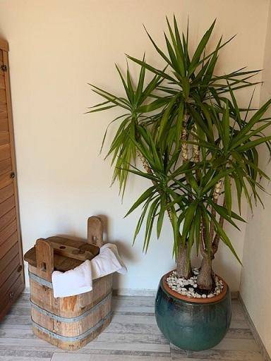 foto7