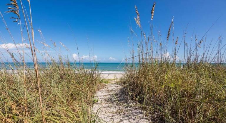 House | Close to the beach | Pets allowed in Melbourne, FL