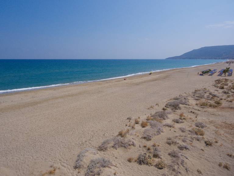 foto41