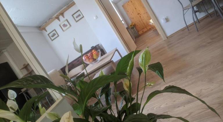 Rental apartment | Dogs allowed in Zagreb