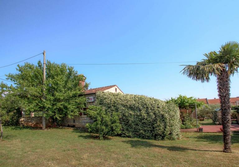 foto21