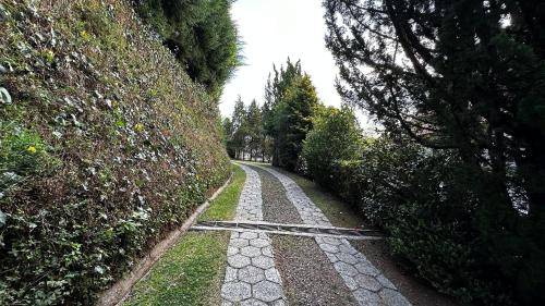 foto6