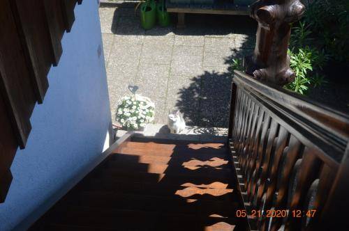 foto9