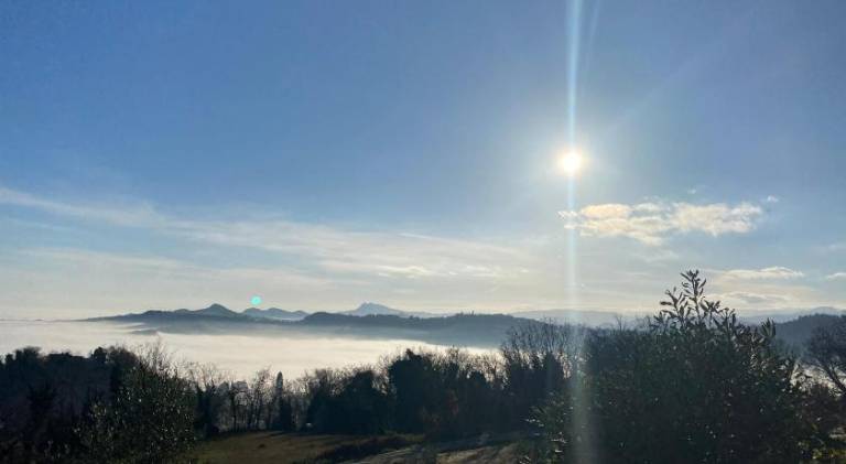 B&B Al Tardino — photo 4