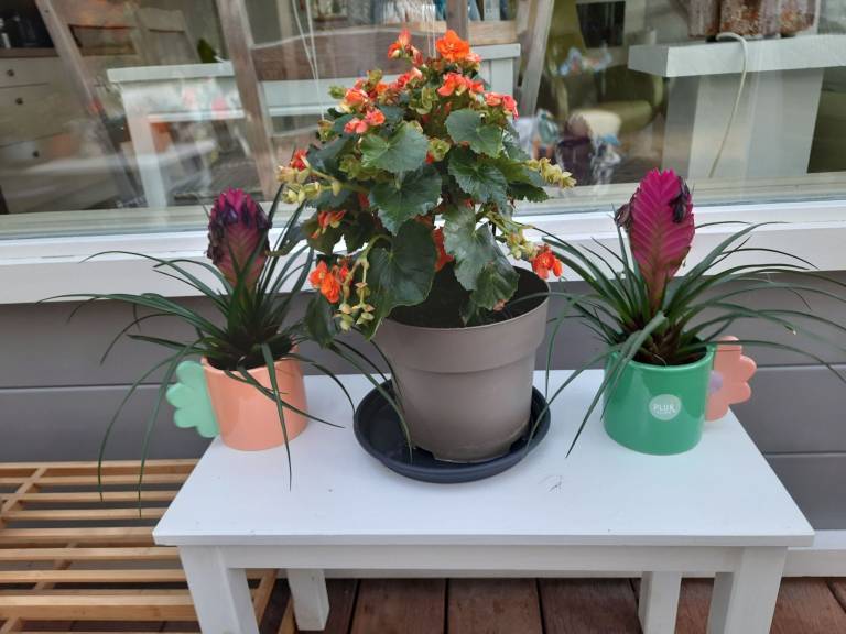 foto30