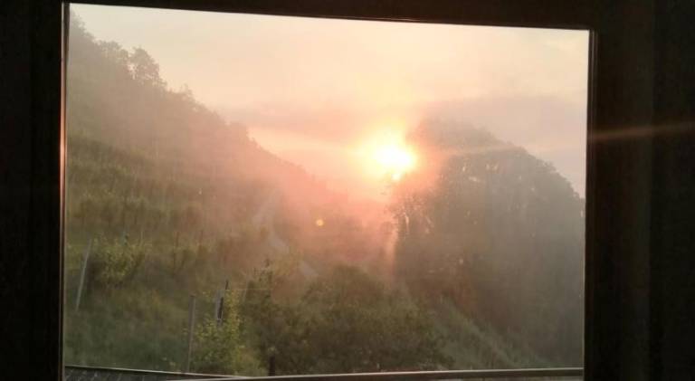 foto14
