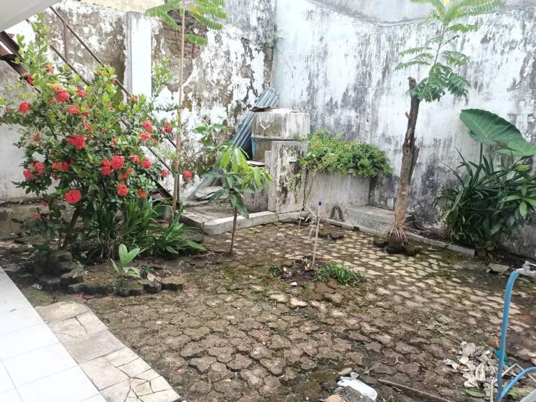 foto8
