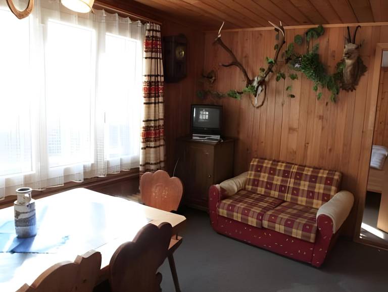 Rental apartment with garden, terrace & barbecue in Surses