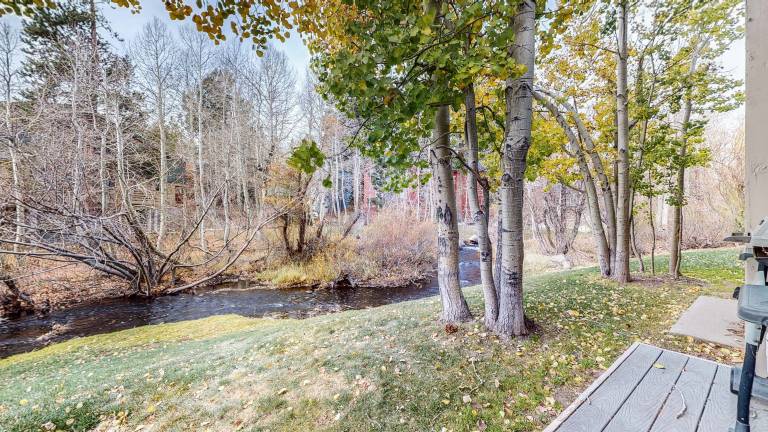 Fully equipped condo with barbecue, sauna & hot tub | Pets allowed — photo 4