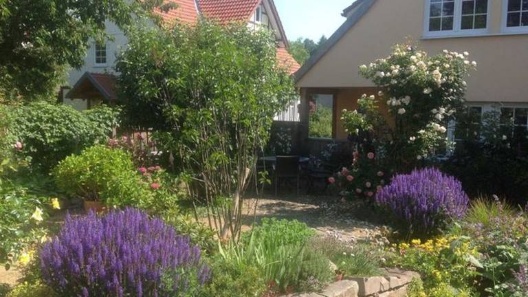 Ferienwohnung  Walkenried