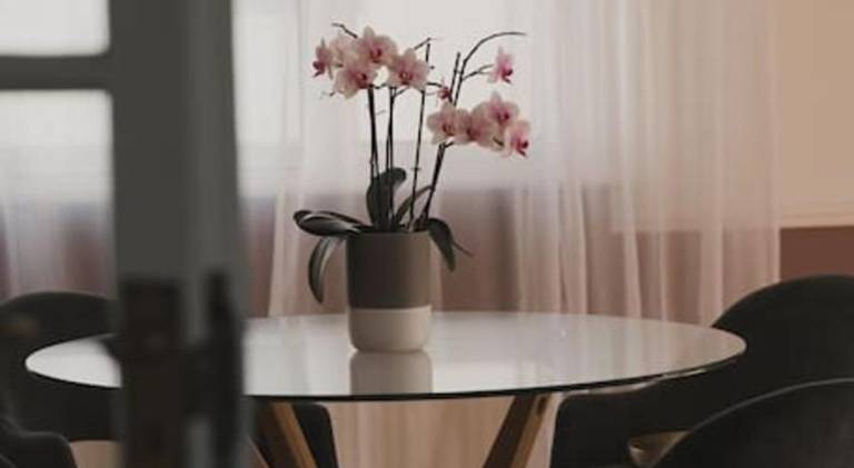 foto20