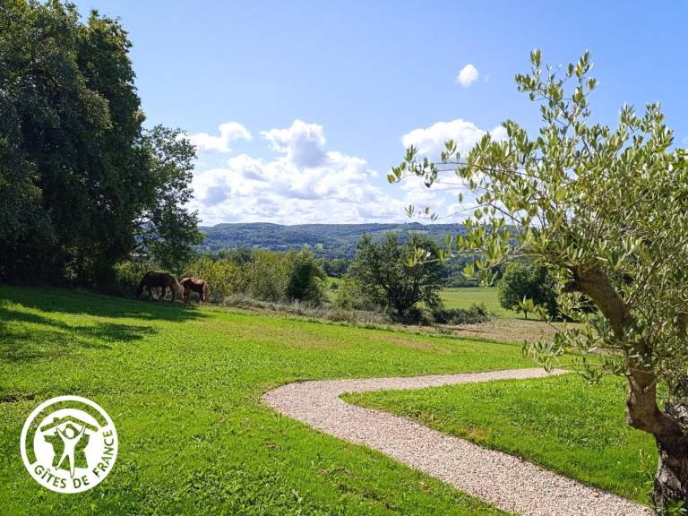 Wonderful gite with BBQ, garden & terrace | Pets are welcome — photo 4