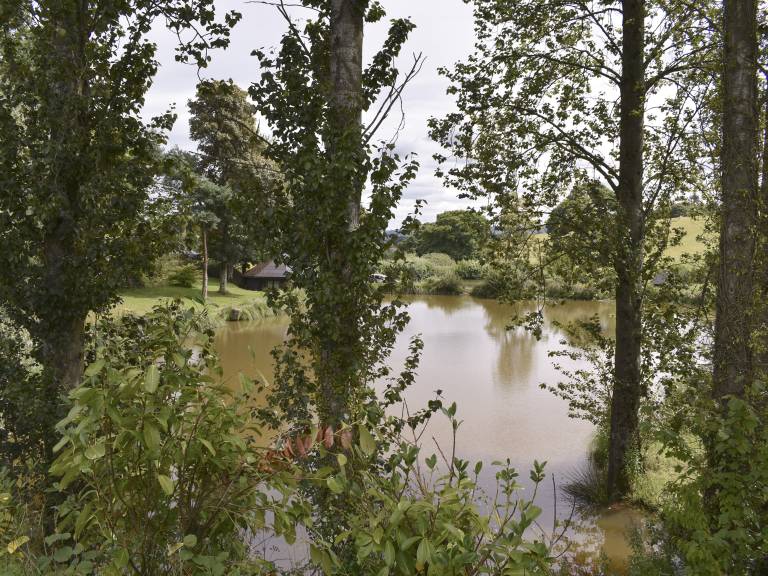 foto17