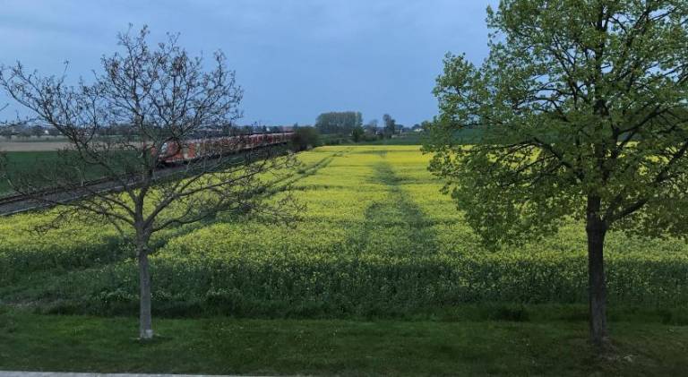 foto15