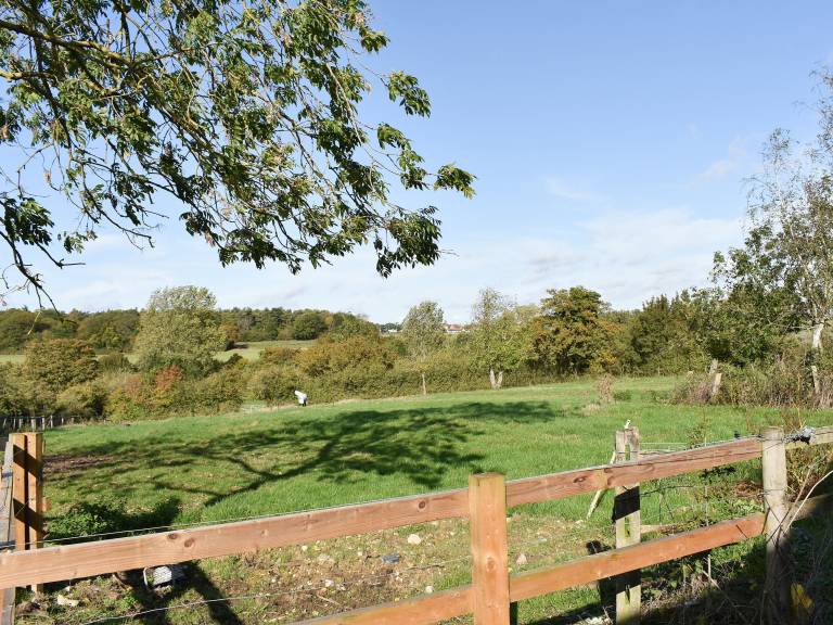 Cottage Saffron Walden
