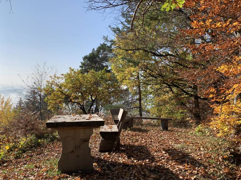 foto25