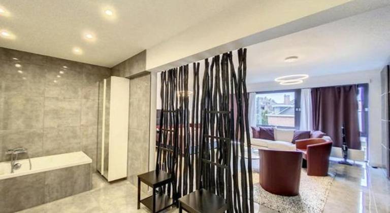 Ample holiday apartment | Close to Römer | Pets are welcome in Frankfurt Am Main