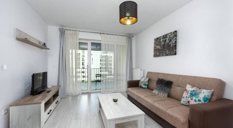 Pleasant rental apartment | Pets are welcome in Brasov
