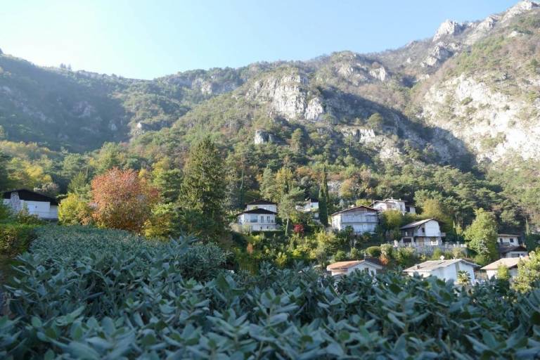 foto17
