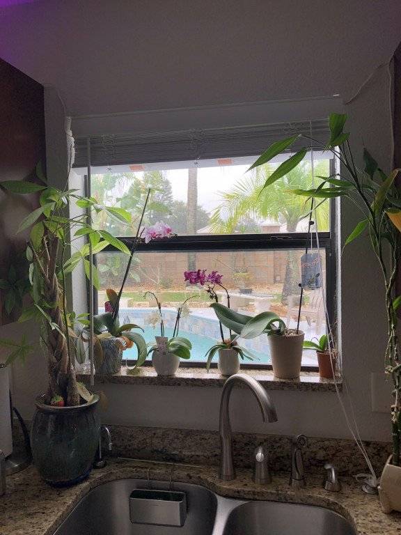foto49