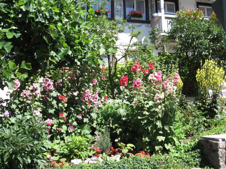 foto5