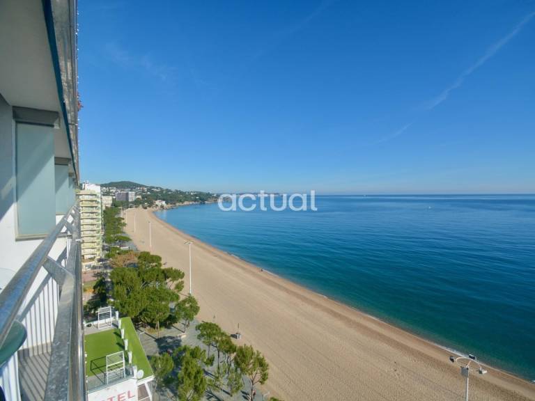 Nice studio | Next to the beach | Pets allowed — photo 2