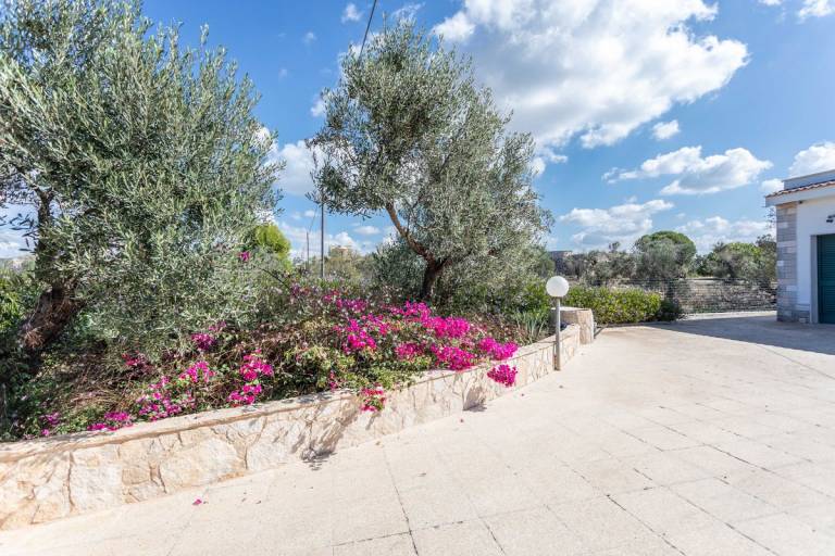 Family-friendly pleasant villa with garden & barbeque | Garden view | Dogs allowed — photo 4