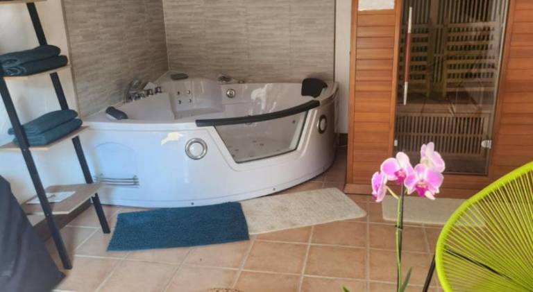 House with jacuzzi in Mayenne