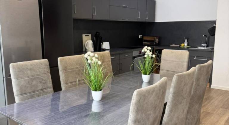 Holiday apartment with terrace, yard & barbeque | Perfect for remote work | Dogs allowed in Goeppingen