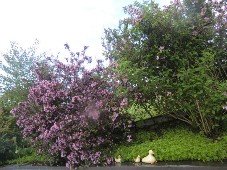 foto17