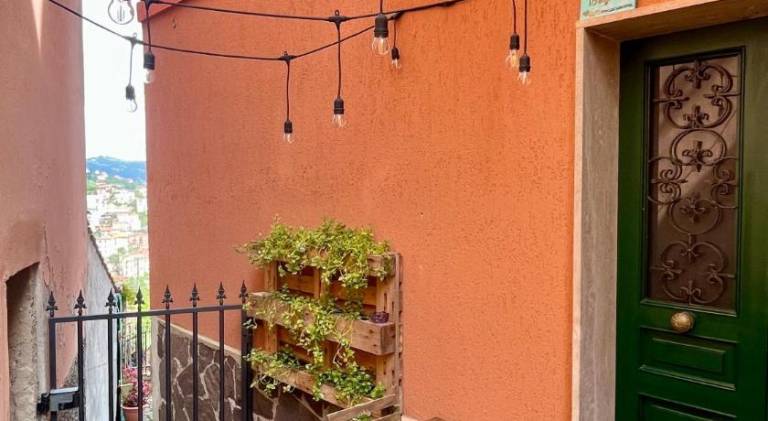 Apartment | Pet-friendly — photo 4