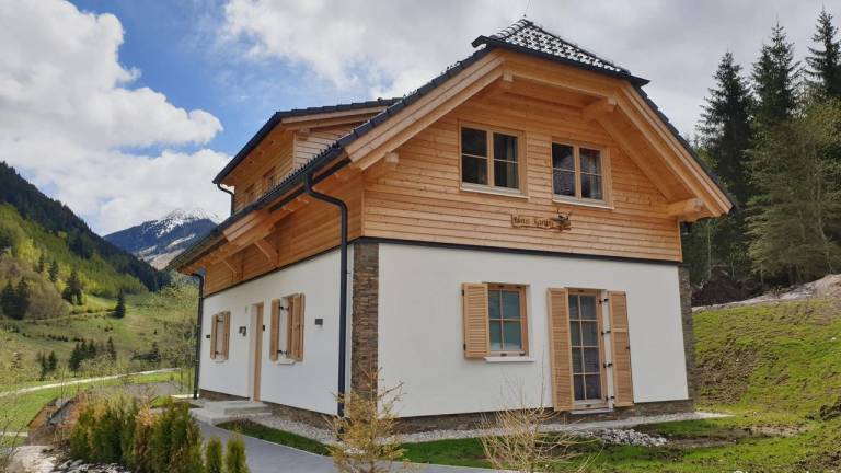 Ferienhaus  Planneralm