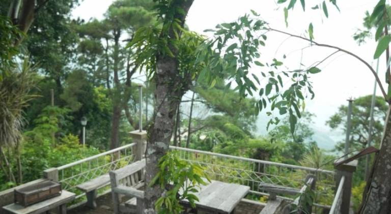 The Carmelence View — photo 4