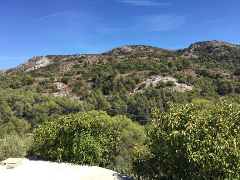 foto19