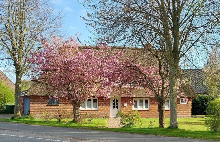 Ferienwohnung Bordelum