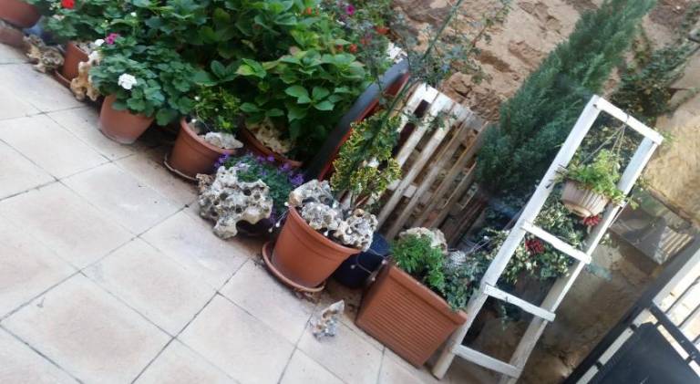 foto47