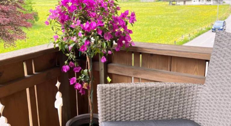 Ample holiday apartment | Dogs allowed — photo 4