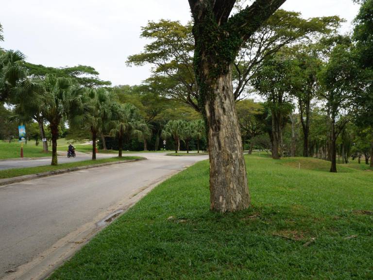 foto40
