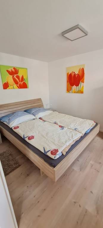foto6