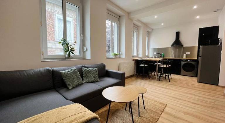 Charming rental apartment with pool | Pets allowed in Arras