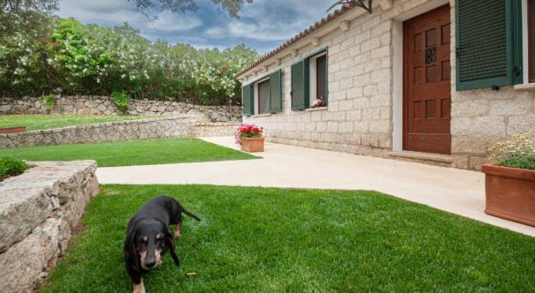 Wonderful villa with pool | Dogs allowed — photo 5