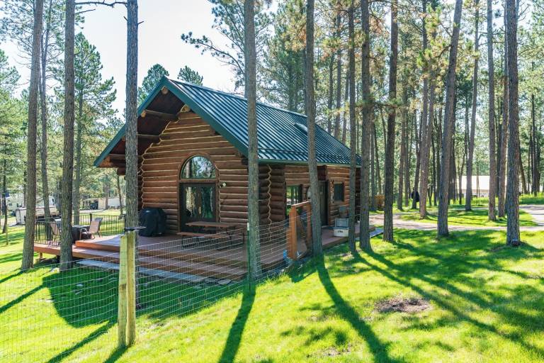 Cabin Custer