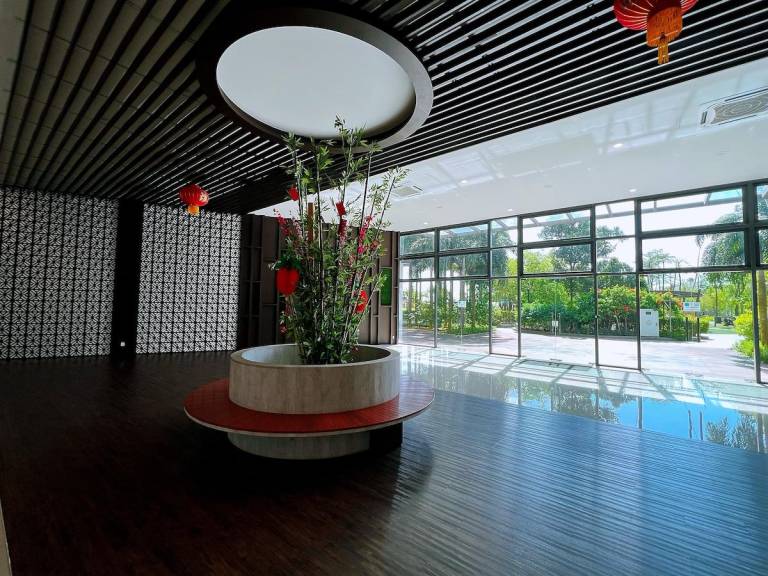 foto7