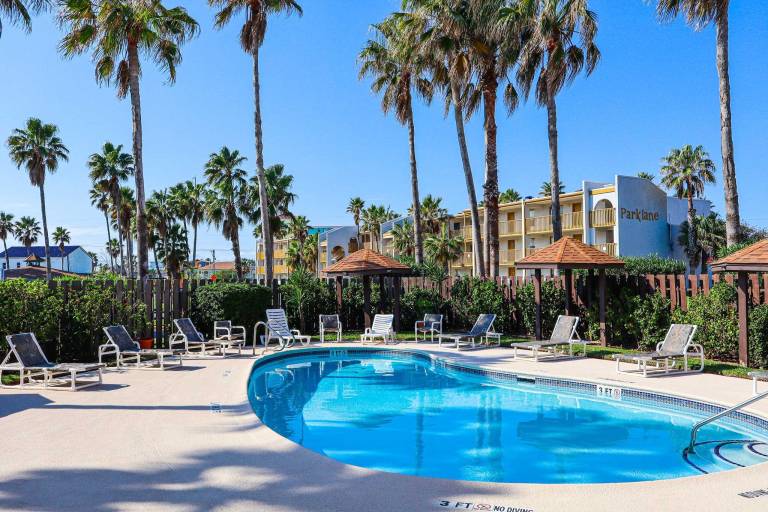Fully equipped pleasant condo with pool & jacuzzi | Next to the beach | Pets are welcome in South Padre Island, TX