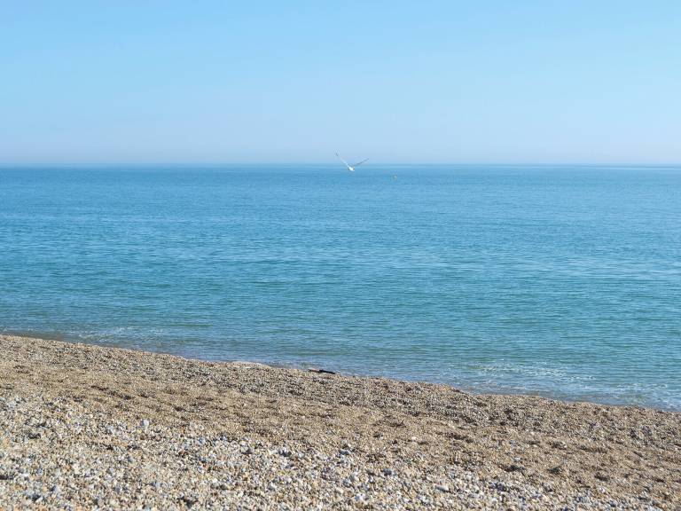 Cottage  Seaford