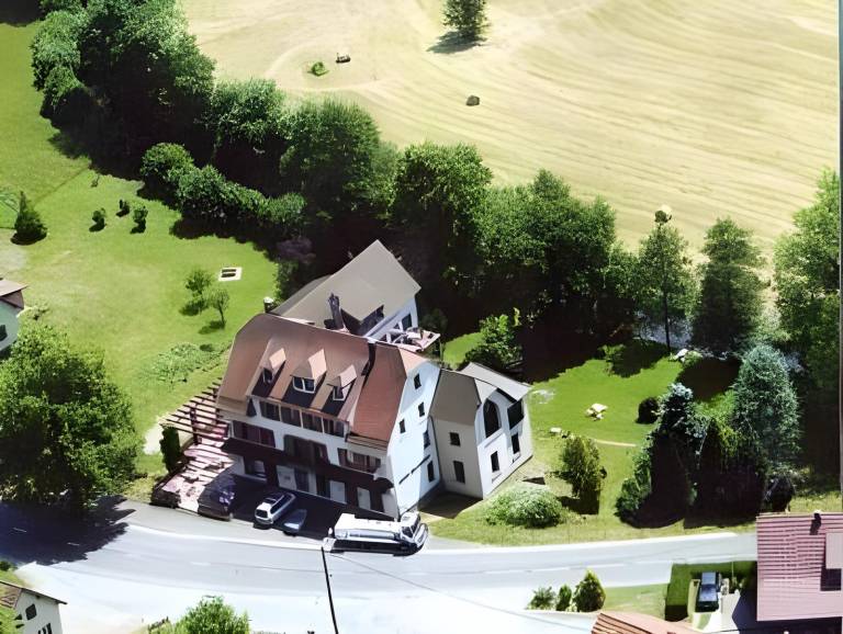 Logis Hotel Des Vosges in Belfort